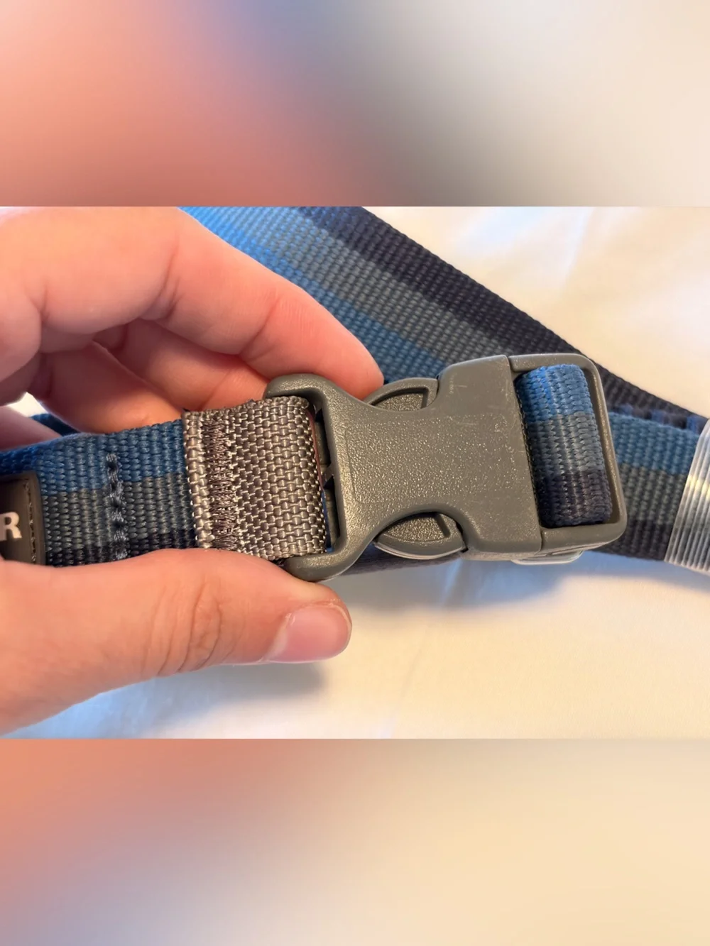 RUFFWEAR ROAMER BUNGEE DOG COLLAR/LEASH COMBO